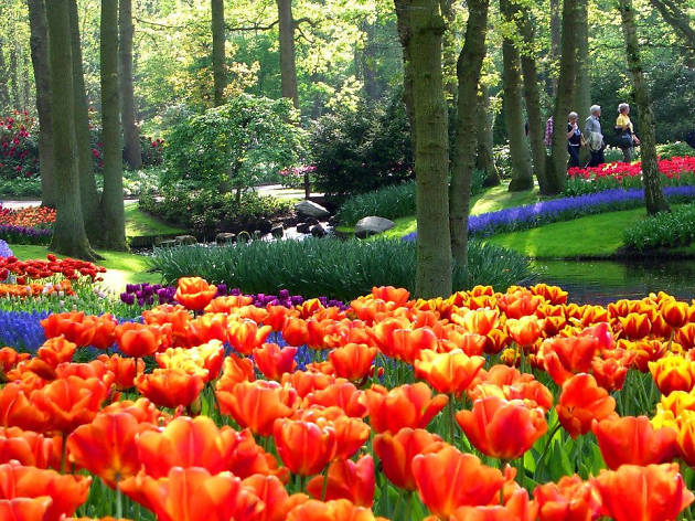 Keukenhof Garden Keukenhof Garden