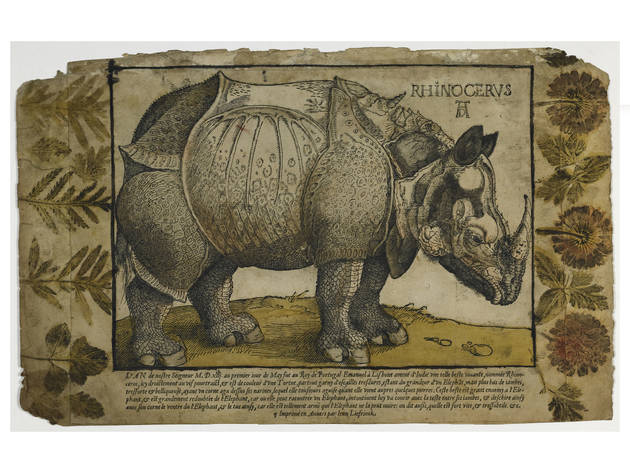 Lisboa Cidade Global Rinoceronte, a partir de Dürer (anverso)