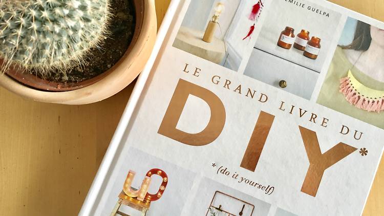 Le Grand Livre du DIY d'Emilie Guelpa