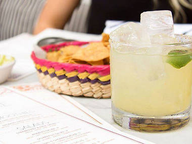 Purista at Gracias Madre Purista at Gracias Madre