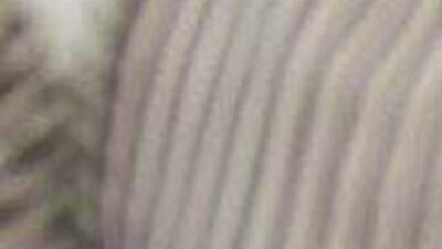 Purista at Gracias Madre Purista at Gracias Madre