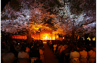 靖國神社 夜桜能