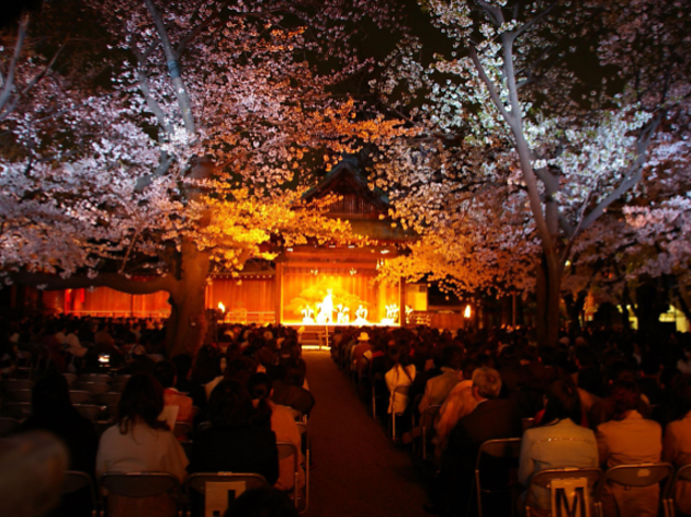 靖国神社 夜桜能 靖国神社 夜桜能