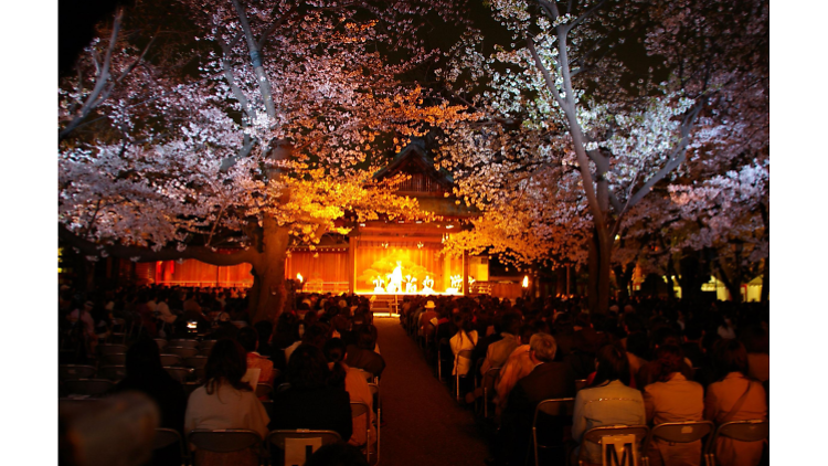 靖国神社 夜桜能