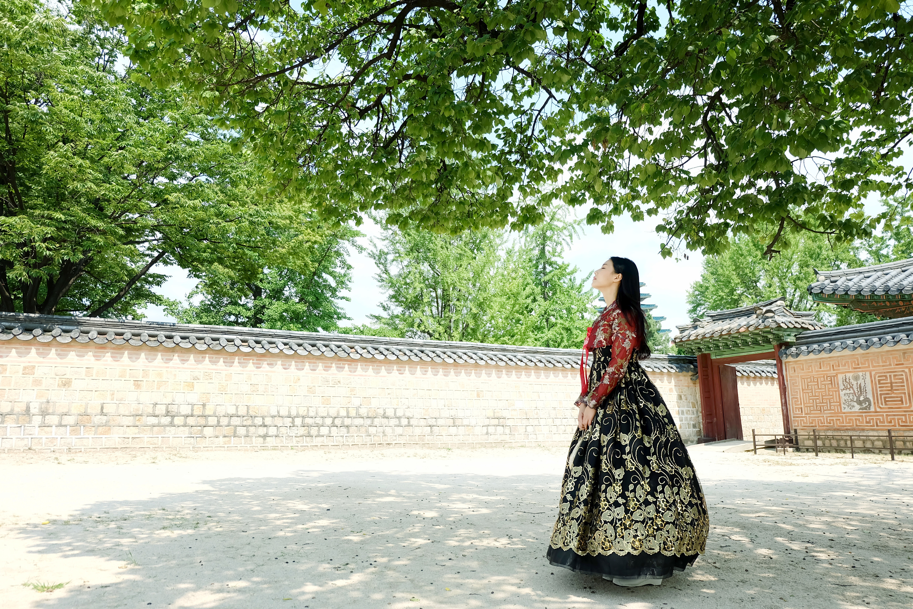 hanbok rental plus size