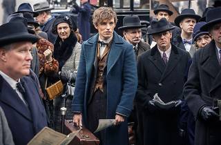 Fantastic Beasts