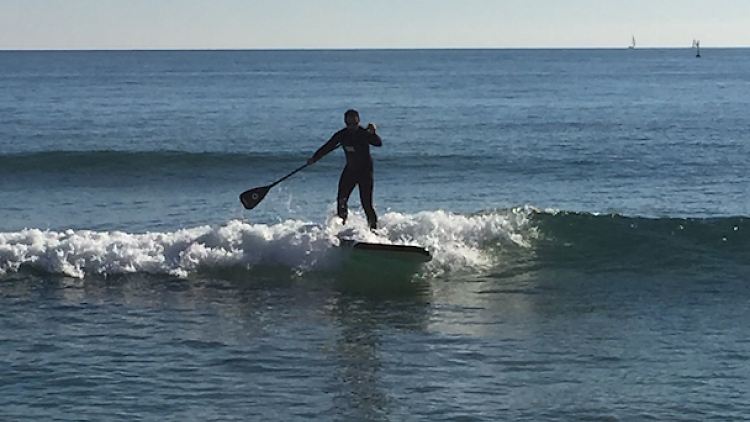 Paddle Surf