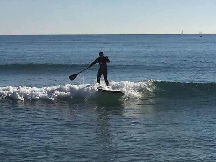 Paddle Surf