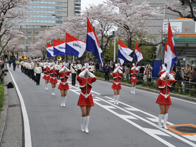 Minato Mirai Sakura Festival Things To Do In Tokyo