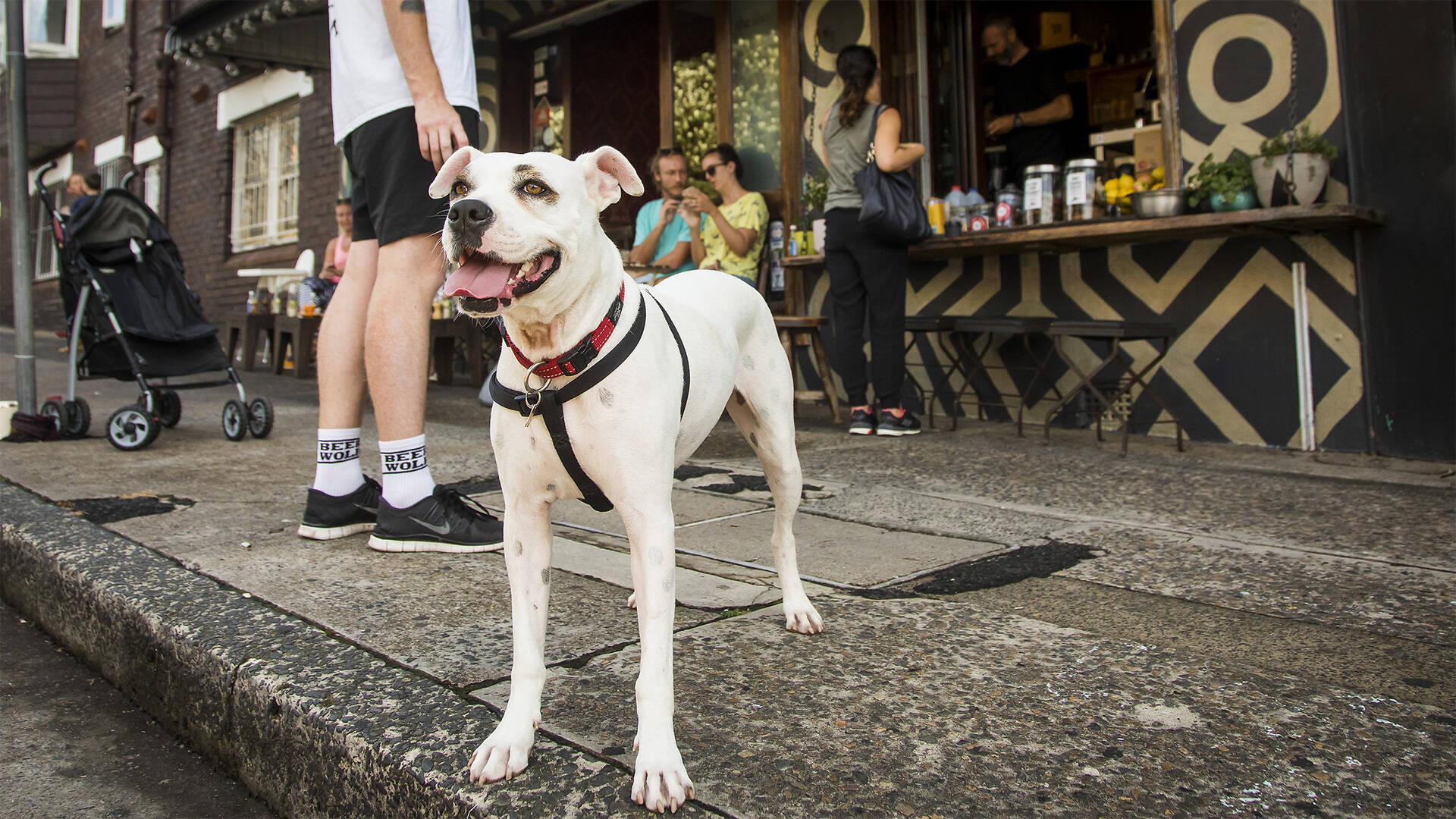 Shop and Wine Bar Bars in Bondi Beach, Sydney