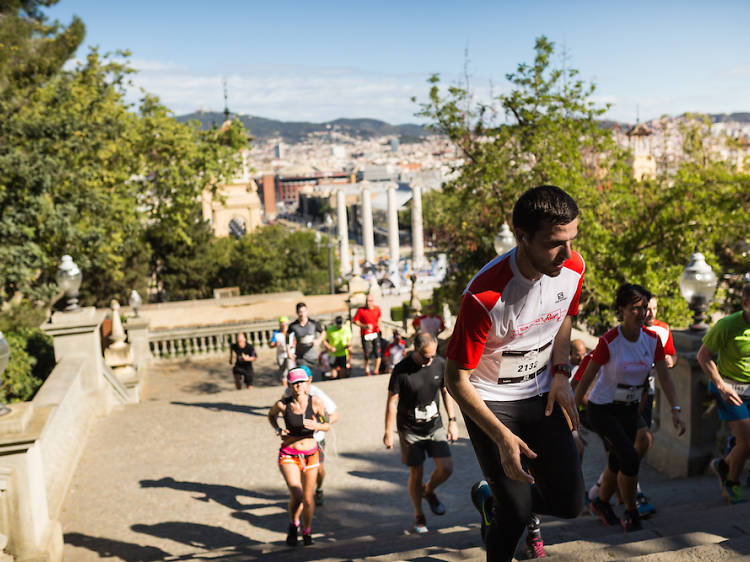 10 raons per apuntar-se a la Salomon Run