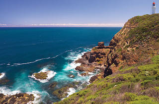 Bushrangers Bay Trail | Things to do in Cape Schanck, Melbourne