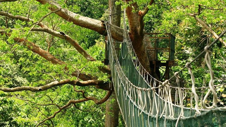 Forest Research Institute Malaysia (FRIM)