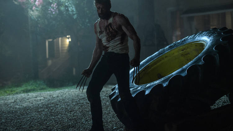 Grades Obertes: Logan