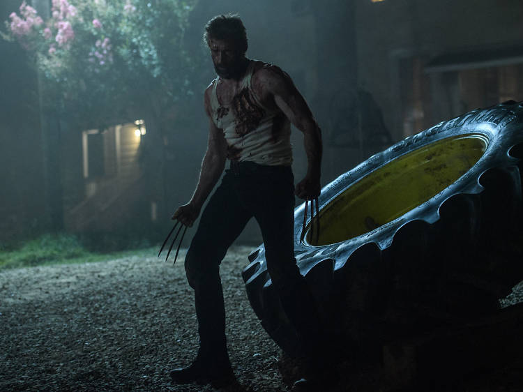 Grades Obertes: Logan