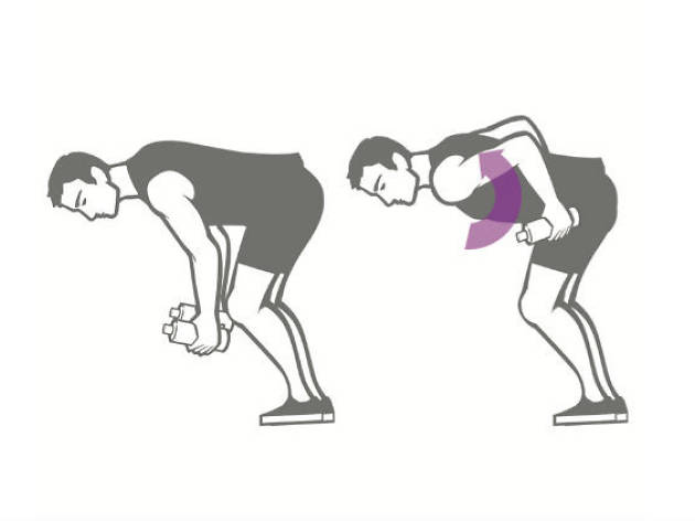 Sexercise para ellos Sexercise para ellos / brazo y espalda