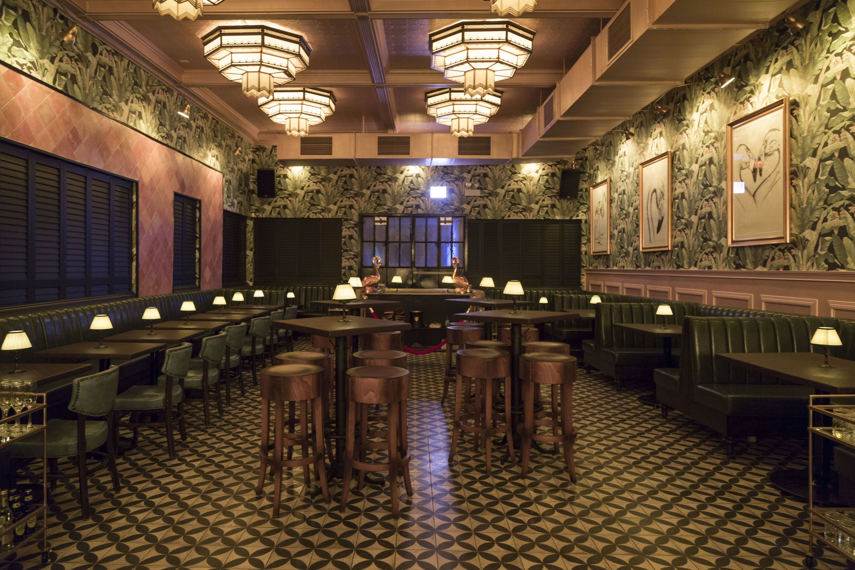 Total 92+ imagen club flamingo Abzlocal.mx