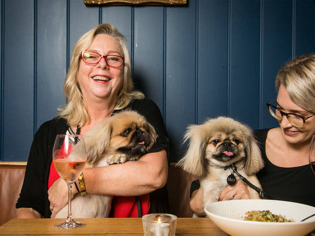 Women with dogs at the Carrington Women with dogs at the Carrington