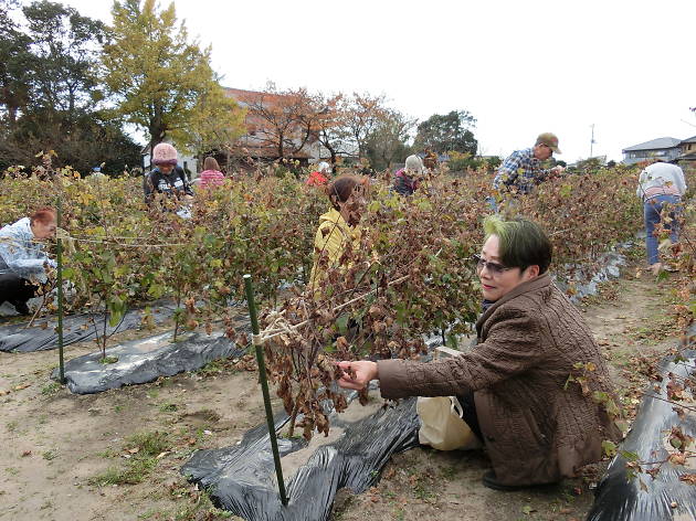 Tohoku Update: Looking for the light Tohoku Update: Looking for the light