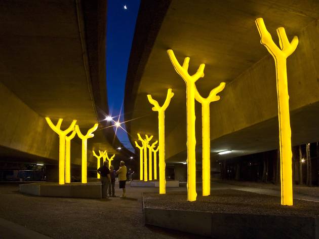 Aspire Luminous yellow trees