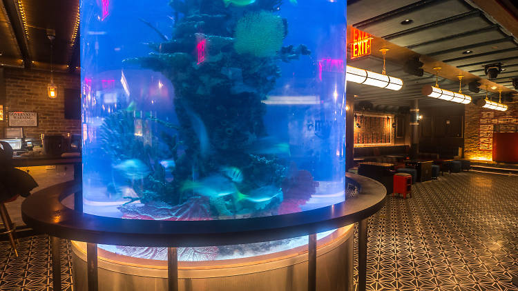 Fishbowl at Dream Midtown