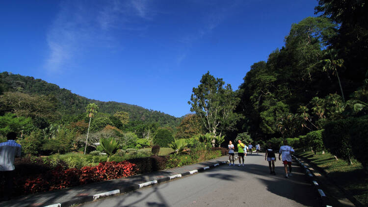 Penang Botanic Gardens