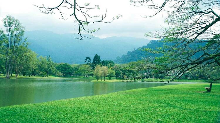 Taiping Lake Gardens