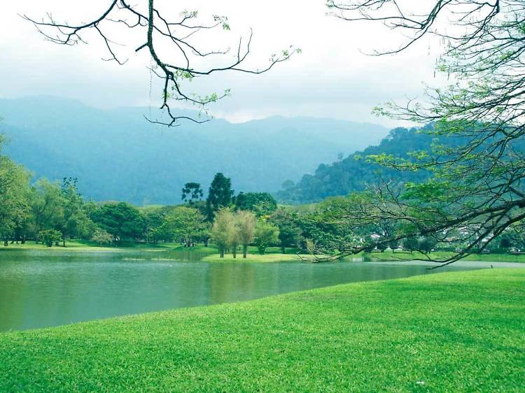 Taiping Lake Gardens