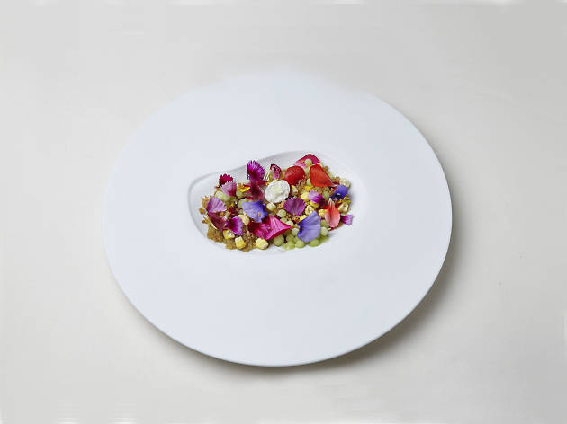 Ceviche de gamba da costa com flores do Beco Cabaret Gourmet beco