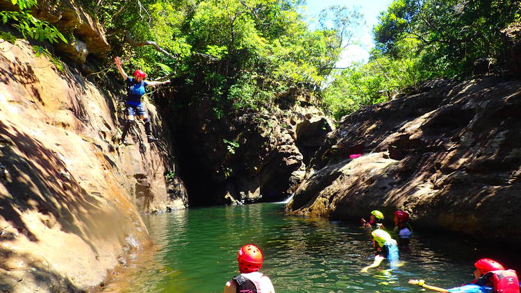 Explore the Iriomote jungle...