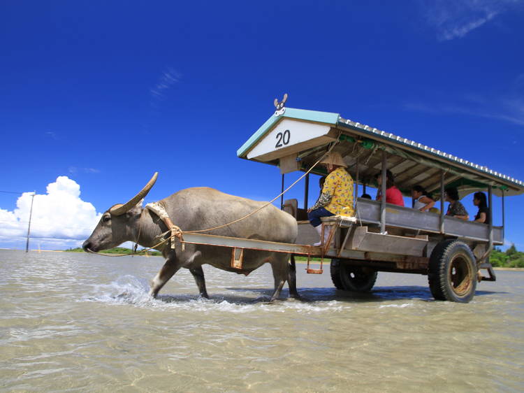 Go island-hopping...