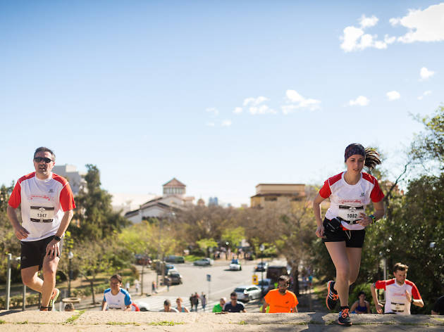 Salomon Run Salomon Run