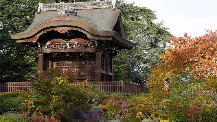 The Japanese Landscape at Kew Gardens