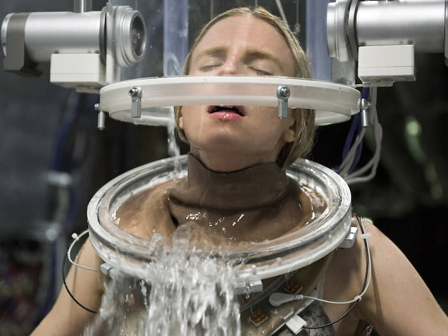 The OA The OA