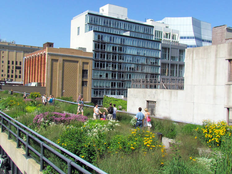 Walking NYC : The High Line Elevated Park (June 2021) 