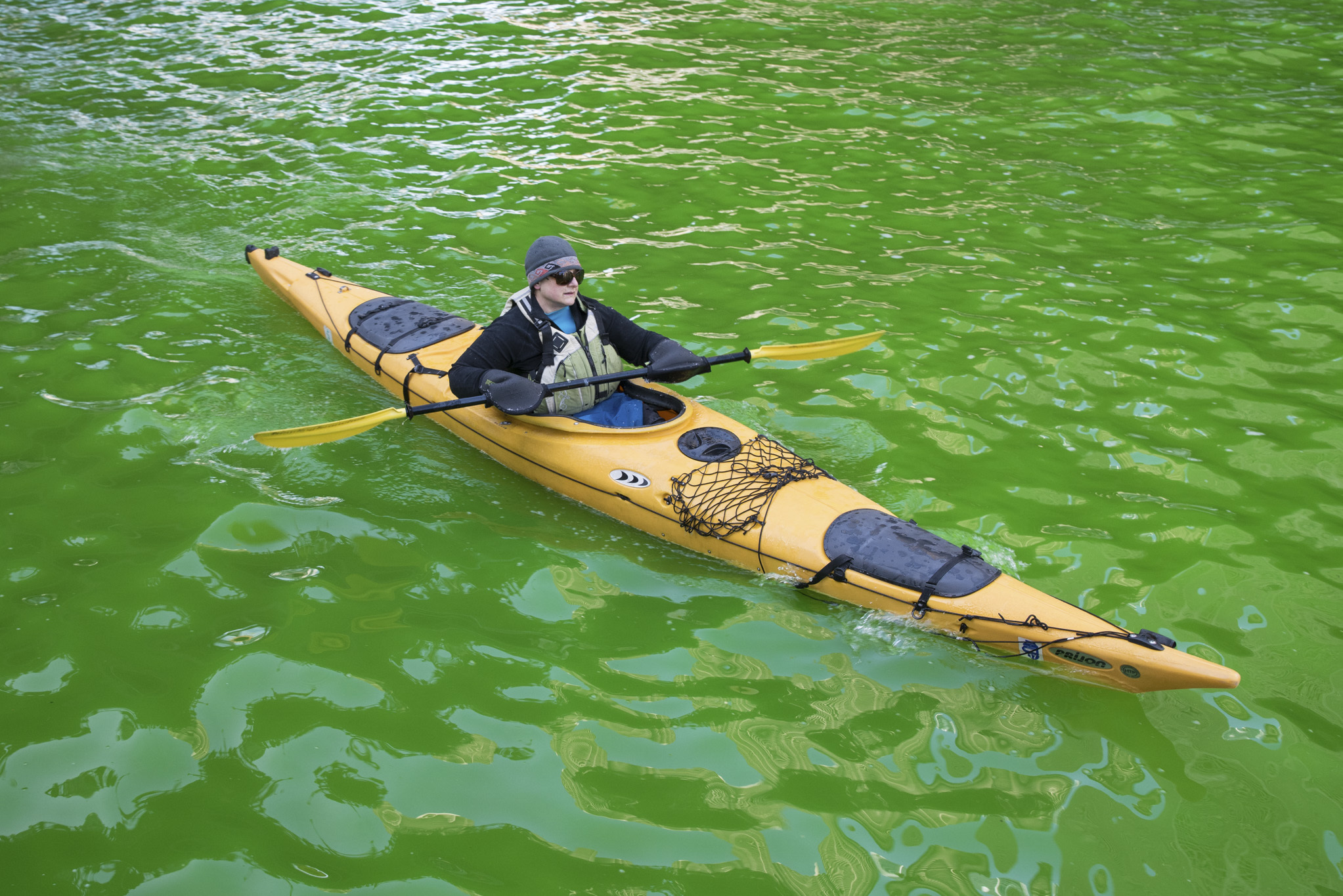 Kayaks on the Chicago River Green, Saint Patrick's Day Stock Photo - Alamy