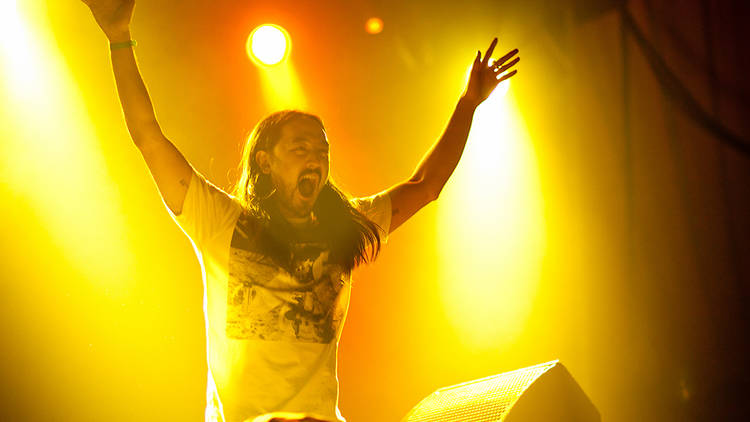 Steve Aoki