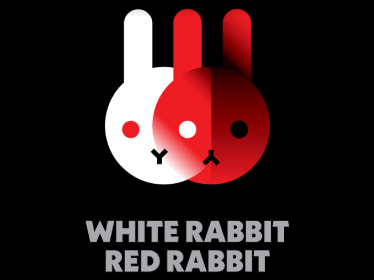 White Rabbit Red Rabbit def def