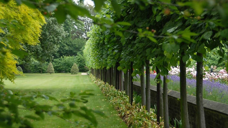 Lambeth Palace Gardens