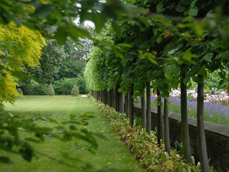 Lambeth Palace Gardens