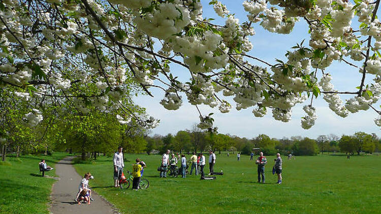 Tooting Common