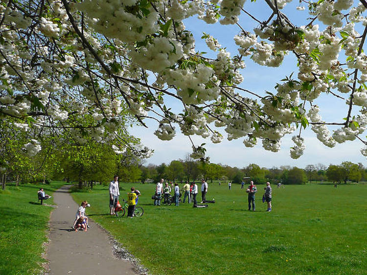 Tooting Common