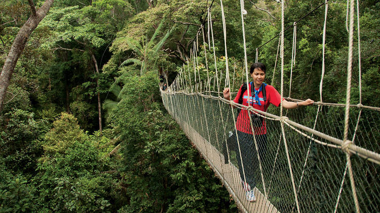 Taman Negara