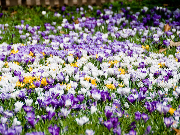 Battersea Park Battersea Park