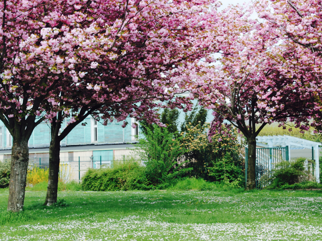 printemps printemps