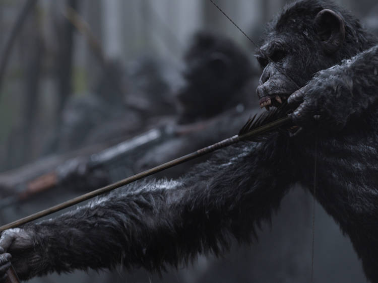 War for the Planet of the Apes