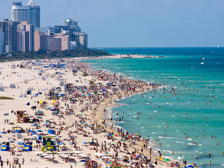 Your guide to spring break in Miami