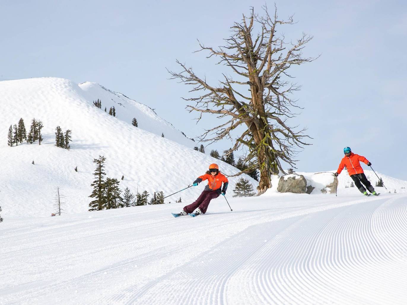Best Ski Resorts Near Los Angeles for Skiing, Snowboarding & More