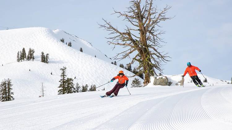 Squaw Valley Alpine Meadows