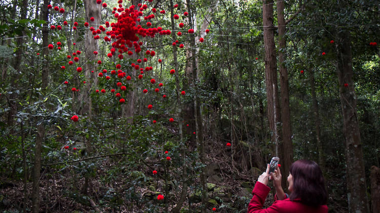 Lang Ea, 'Ka-Boom!' Sculpture at Scenic World